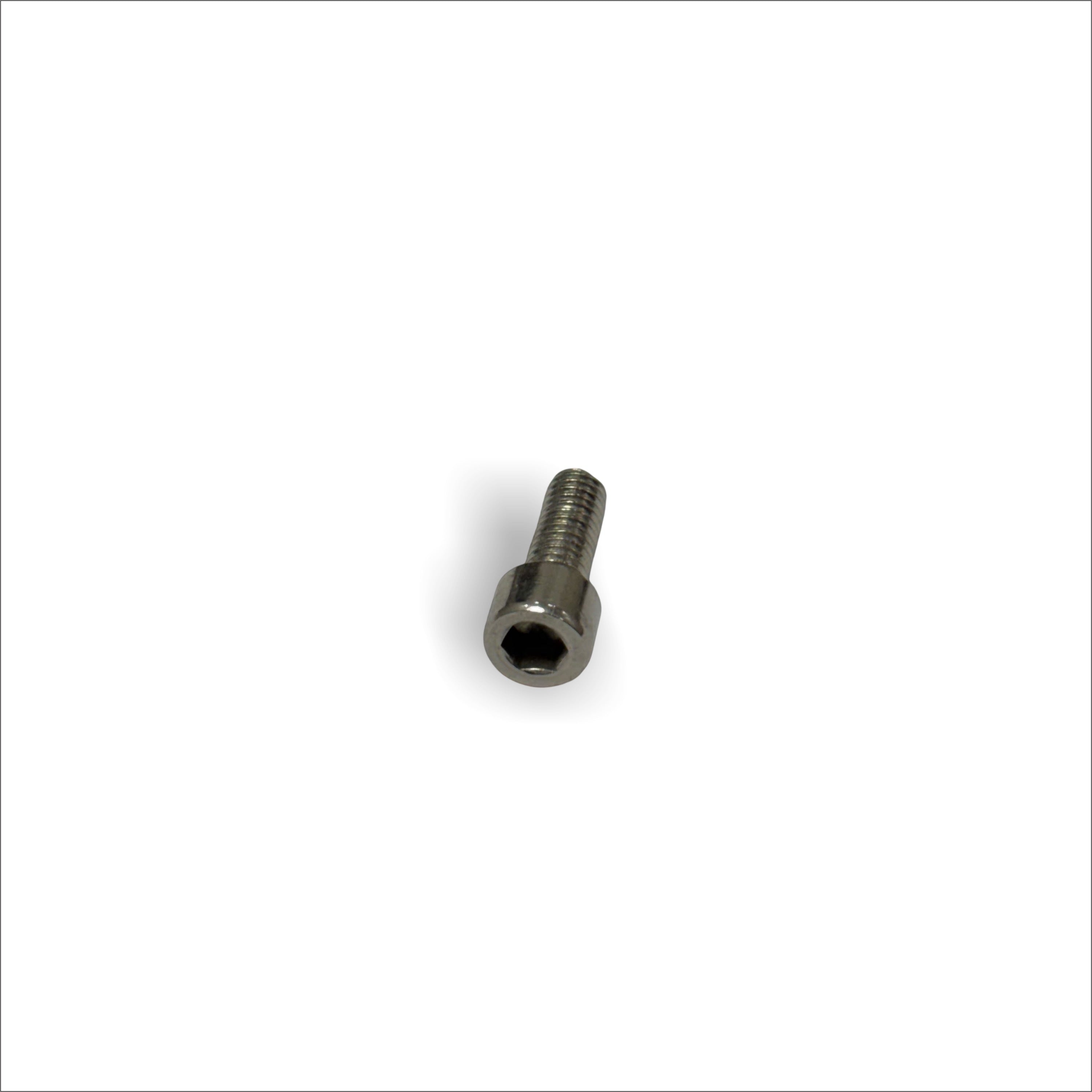 PROSKATE Quad Hockey Toe Brake Nut & Bolt